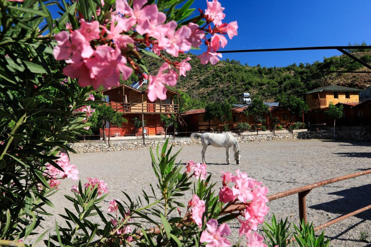 Oranj Ranch Hotel Kemer Luaran gambar