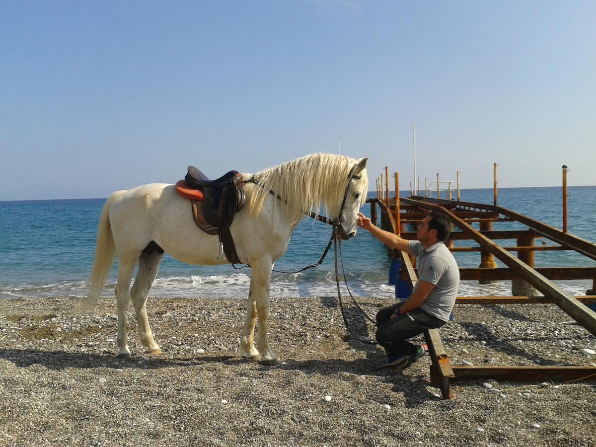 Oranj Ranch Hotel Kemer Luaran gambar