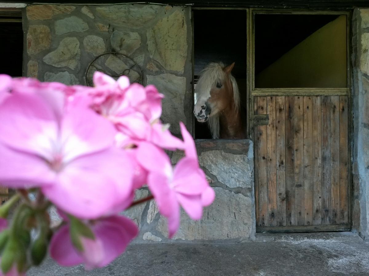 Oranj Ranch Hotel Kemer Luaran gambar