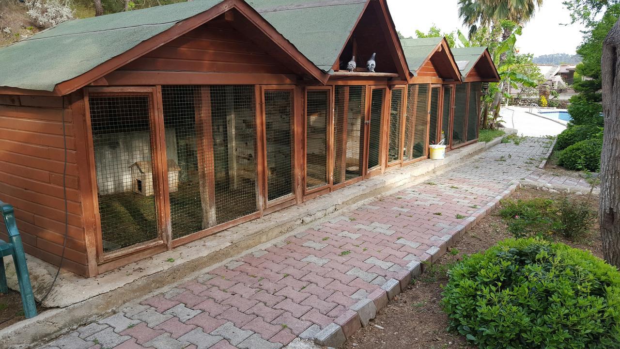 Oranj Ranch Hotel Kemer Luaran gambar