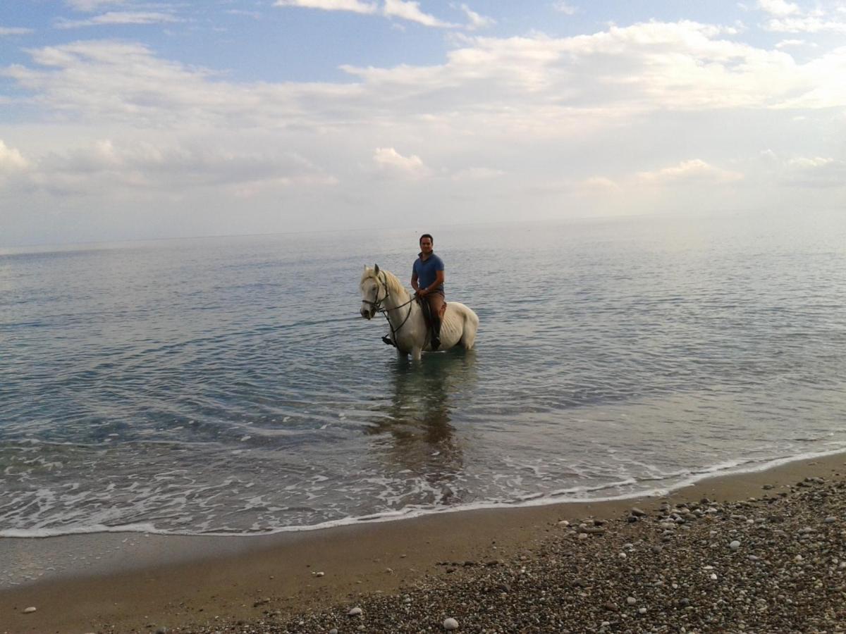 Oranj Ranch Hotel Kemer Luaran gambar