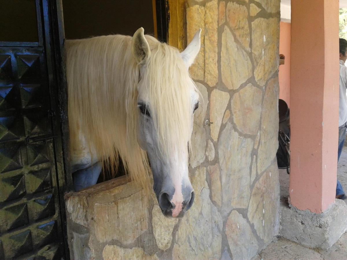 Oranj Ranch Hotel Kemer Luaran gambar